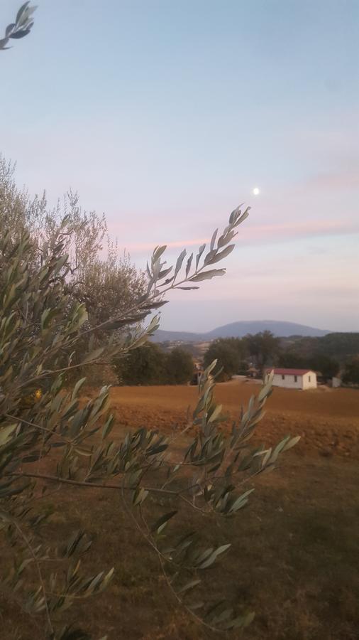 Agriturismo Villalta Ponte Felcino Extérieur photo