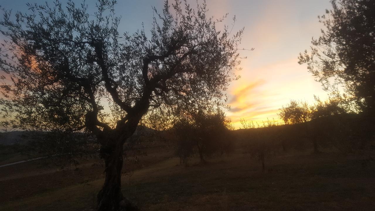 Agriturismo Villalta Ponte Felcino Extérieur photo